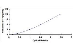 Typical standard curve (POR ELISA Kit)
