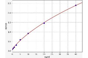 Typical standard curve (SYK ELISA Kit)