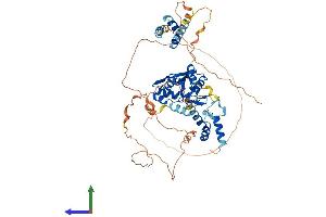 AlphaFold protein structure predicition of Human Recombinant ZC3H12A Protein, UniprotID Q5D1E8 (ZC3H12A Protein (AA 1-599) (His tag))
