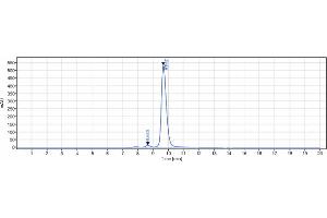 The purity of Anti-TNFRSF9 / 4-1BB / CD137 Reference Antibody (urelumab) is 97. (Recombinant TNFRSF9 (Urelumab Biosimilar) antibody)