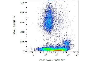 Flow cytometry analysis (surface staining) of CD36 in human peripheral blood with anti-CD36 (CB38) purified, GAM-APC.
