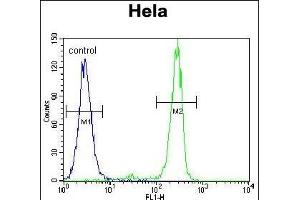 MED7 Antibody (Center) (ABIN655901 and ABIN2845301) flow cytometric analysis of Hela cells (right histogram) compared to a negative control cell (left histogram). (MED7 antibody  (AA 83-111))