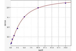 Typical standard curve (DNAJB8 ELISA Kit)