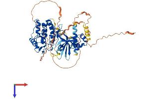 AlphaFold protein structure predicition of Mouse Recombinant Smok2b Protein, UniprotID Q9QYZ3 (Smok2b Protein (AA 1-484) (His tag))