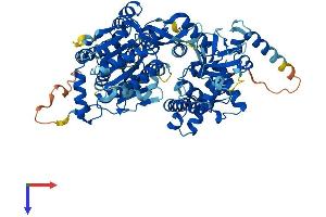 AlphaFold protein structure predicition of Human Recombinant DQX1 Protein, UniprotID Q8TE96