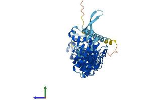 AlphaFold protein structure predicition of Human Recombinant ASB16 Protein, UniprotID Q96NS5