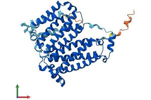 AlphaFold protein structure predicition of Mouse Recombinant Tm6sf2 Protein, UniprotID Q8R1J1 (TM6SF2 Protein (AA 1-378) (His tag))