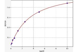 SOCS1 ELISA Kit