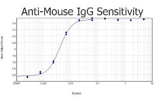 ELISA results of purified Goat anti-Mouse IgG Antibody Biotin Conjugated tested against purified Mouse IgG. (Goat anti-Mouse IgG (Heavy & Light Chain) Antibody (Biotin) - Preadsorbed)