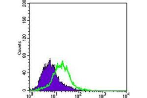 Flow cytometric analysis of PACN-1 cells using KRT15 mouse mAb (green) and negative control (purple). (KRT15 antibody)