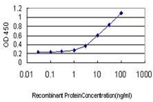 Detection limit for recombinant GST tagged ALDOB is approximately 0. (ALDOB antibody  (AA 1-316))