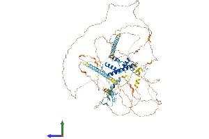 Protein Structure (PS) image for TAF3 RNA Polymerase II, TATA Box Binding Protein (TBP)-Associated Factor, 140kDa (TAF3) (AA 1-929) protein (His tag) (ABIN7555701)