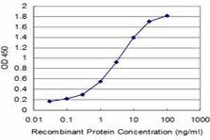 Detection limit for recombinant GST tagged KAL1 is approximately 0. (KAL1 antibody  (AA 548-657))