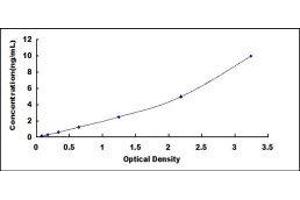 Interferon Regulatory Factor 1 (IRF1) ELISA Kit