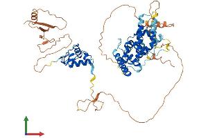 Protein Structure (PS) image for Nuclear Receptor Subfamily 2, Group C, Member 1 (NR2C1) (AA 1-603) protein (His tag) (ABIN7554786)