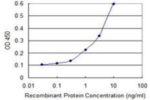 Detection limit for recombinant GST tagged ISL1 is 0. (ISL1 antibody  (AA 63-159))
