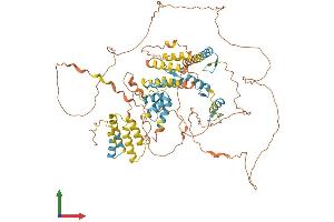 AlphaFold protein structure predicition of Human Recombinant HIC1 Protein, UniprotID Q14526 (HIC1 Protein (AA 1-733) (His tag))
