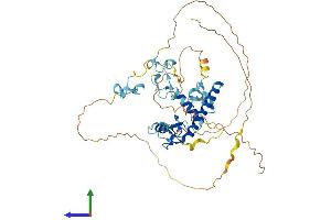 AlphaFold protein structure predicition of Human Recombinant MKRN4P Protein, UniprotID Q13434 (MKRN4P Protein (AA 1-485) (His tag))