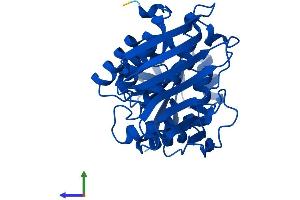AlphaFold protein structure predicition of Human Recombinant DHDH Protein, UniprotID Q9UQ10 (DHDH Protein (AA 1-334) (His tag))
