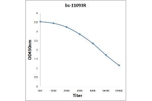 Antigen: 2 µg/100 µL  Primary: Antiserum, 1:500, 1:1000, 1:2000, 1:4000, 1:8000, 1:16000, 1:32000;  Secondary: HRP conjugated Rabbit Anti-Goat IgG at 1: 5000;  TMB staining Read the data in Microplate Reader by 450nm. (PLP1 antibody  (AA 21-120))