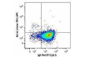 Flow Cytometry (FACS) image for anti-B-Cell CLL/lymphoma 6 (BCL6) antibody (APC) (ABIN2656875) (BCL6 antibody  (APC))