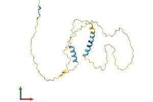 Protein Structure (PS) image for BCL2-Associated Agonist of Cell Death (BAD) (AA 1-204) protein (His tag) (ABIN7557696)