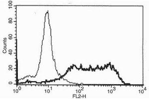 Flow Cytometry (FACS) image for anti-Tumor Necrosis Factor Receptor Superfamily, Member 13B (TNFRSF13B) antibody (ABIN187592) (TACI antibody)