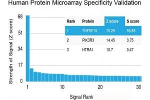 Analysis of HuProt(TM) microarray containing more than 19,000 full-length human proteins using recombinant TNFSF15 antibody (clone VEGI/2052R). (TNFSF15 antibody)