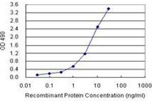 Sandwich ELISA detection sensitivity ranging from 0. (SPP1 (Human) Matched Antibody Pair)