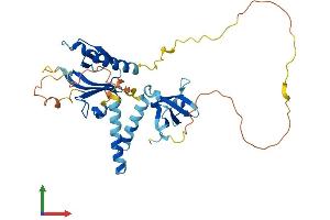 AlphaFold protein structure predicition of Mouse Recombinant Skap2 Protein, UniprotID Q3UND0 (SKAP2 Protein (AA 1-358) (His tag))