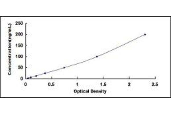 COL2 ELISA Kit