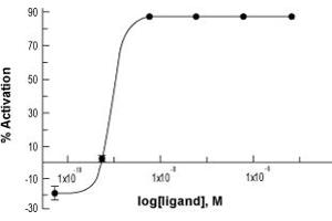 Galanin (GAL) peptide (Biotin)