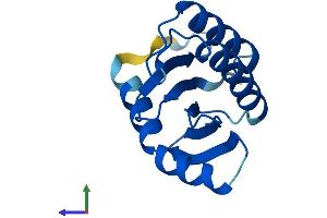 Protein Structure (PS) image for Trafficking Protein Particle Complex 2 (TRAPPC2) (AA 1-140) protein (His tag) (ABIN7560562)