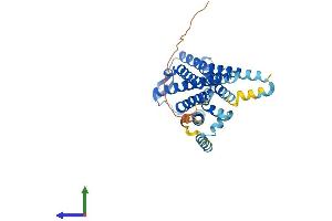 AlphaFold protein structure predicition of Human Recombinant GALR3 Protein, UniprotID O60755 (GALR3 Protein (AA 1-368) (His tag))