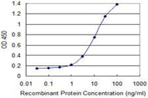 Detection limit for recombinant GST tagged RGS20 is 0. (RGS20 antibody  (AA 78-176))