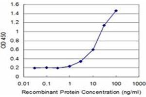 Detection limit for recombinant GST tagged RNF2 is approximately 1ng/ml as a capture antibody. (RNF2 antibody  (AA 192-290))