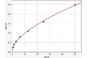 Typical standard curve (WARS ELISA Kit)