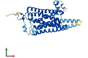 AlphaFold protein structure predicition of Mouse Recombinant Taar8c Protein, UniprotID Q5QD05 (TAAR8C Protein (AA 1-344) (His tag))