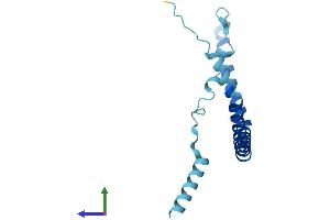 Protein Structure (PS) image for Caveolin 3 (CAV3) (AA 1-151) protein (His tag) (ABIN7552925)