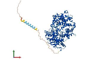 AlphaFold protein structure predicition of Mouse Recombinant Mmel1 Protein, UniprotID Q9JLI3 (MMEL1 Protein (AA 1-765) (His tag))