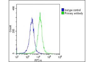 Overlay histogram showing HeLa cells stained with (ABIN6243398 and ABIN6578829)(green line). (DLX1 antibody  (AA 84-118))