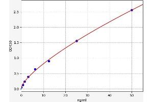 Typical standard curve (Hepsin ELISA Kit)