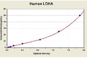 Diagramm of the ELISA kit to detect Human LDHAwith the optical density on the x-axis and the concentration on the y-axis. (Lactate Dehydrogenase A ELISA Kit)