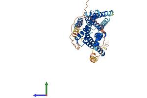 AlphaFold protein structure predicition of Mouse Recombinant Hrh2 Protein, UniprotID P97292