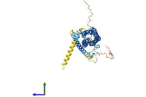 AlphaFold protein structure predicition of Human Recombinant SCAMP2 Protein, UniprotID O15127 (SCAMP2 Protein (AA 1-329) (His tag))
