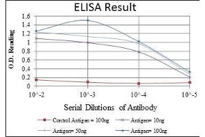 Red: Control Antigen (100 ng), Purple: Antigen (10 ng), Green: Antigen (50 ng), Blue: Antigen (100 ng), (BMPR2 antibody)