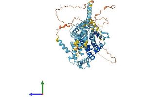 AlphaFold protein structure predicition of Human Recombinant SLC34A1 Protein, UniprotID Q06495