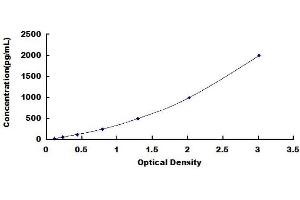 S100B ELISA Kit