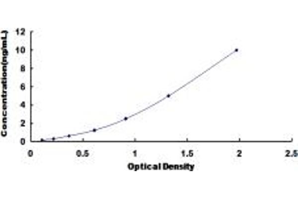 CASR ELISA Kit