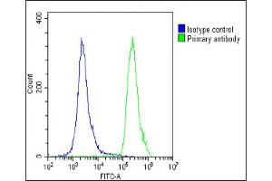 Overlay histogram showing U-2 OS cells stained with (ABIN655583 and ABIN2845073)(green line).
